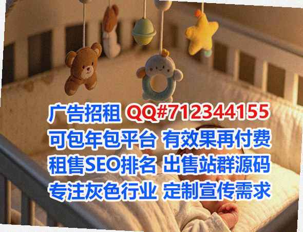 金阳借腹生子市政工程工作室